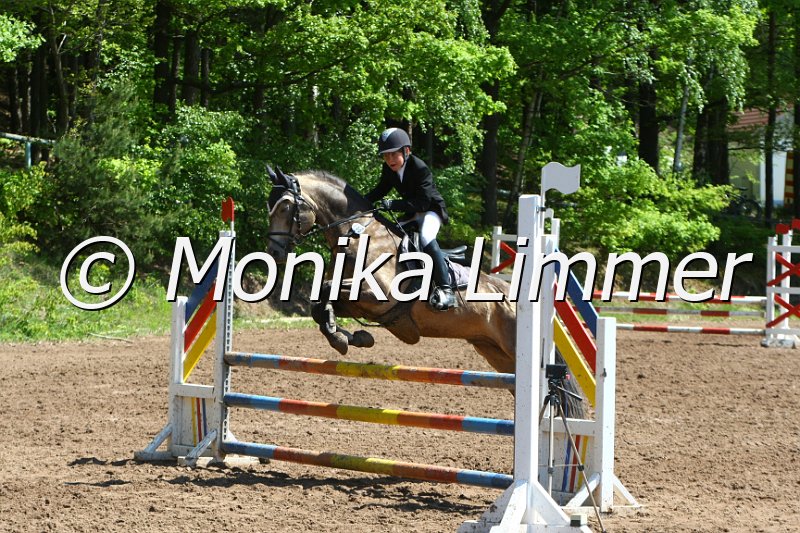 104M8308_Leonardo_SpringWB E.JPG